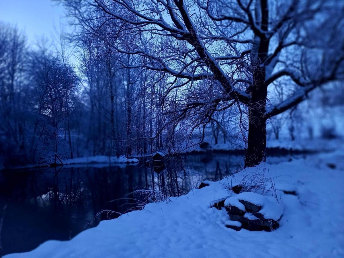 Ferienhaus Sinneswandel Sehmatal Eksteriør billede